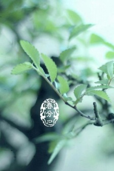 Twenty-Four Solar Terms Spring Equinox Landscape Picture Material