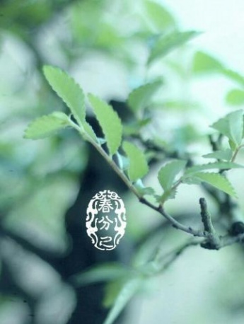 二十四节气春分风景图片素材