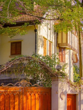 Spring flowers and plants beautiful mobile wallpaper