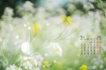 July 2021 flowers and green plants eye protection desktop calendar wallpaper
