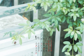 January 2022 Green Nature HD Calendar Wallpaper