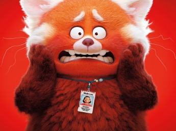 Metamorphosis of youth picture gallery