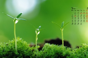 Eye-protecting green plants HD desktop calendar wallpaper for March 2022