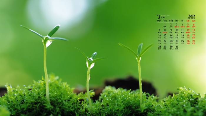 Eye-protecting green plants HD desktop calendar wallpaper for March 2022