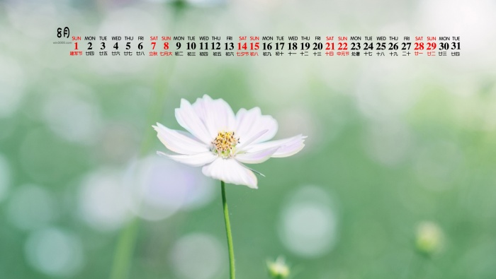 Elegant and fresh desktop calendar wallpaper for August 2021