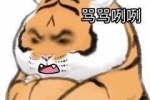小老虎骂骂咧咧表情包