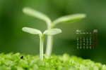 Eye-protecting green landscape desktop calendar wallpaper for April 2022