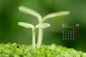 Eye-protecting green landscape desktop calendar wallpaper for April 2022