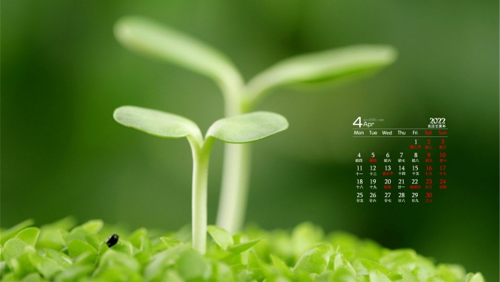 Eye-protecting green landscape desktop calendar wallpaper for April 2022