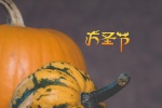 Western traditional festival Halloween pictures wallpaper