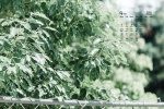 2021年9月绿色风景自然桌面日历壁纸