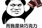 而我是块巧克力乖巧可爱又美丽