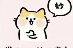 发出小猫的声音表情包（妙）