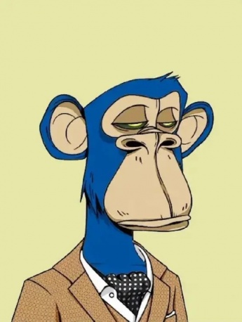 Summary of Curry's same monkey avatar