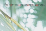 Simple and fresh desktop calendar wallpaper for December 2021