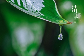 Qingming Festival pictures HD computer desktop wallpaper