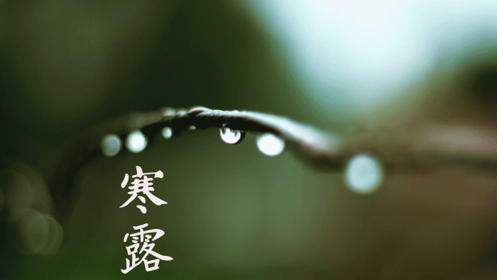 節氣寒露電腦桌麵壁紙