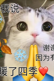 听我说谢谢你猫咪表情包