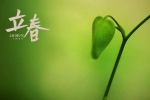 Twenty-four solar terms and the beginning of spring pictures desktop wallpaper
