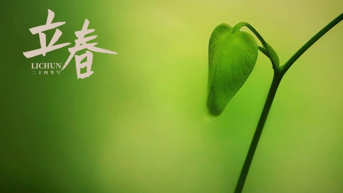 二十四節氣立春圖片桌麵壁紙
