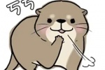 Little otter expression pack