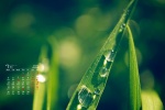 July 2021 emerald green leaves water drops desktop calendar wallpaper