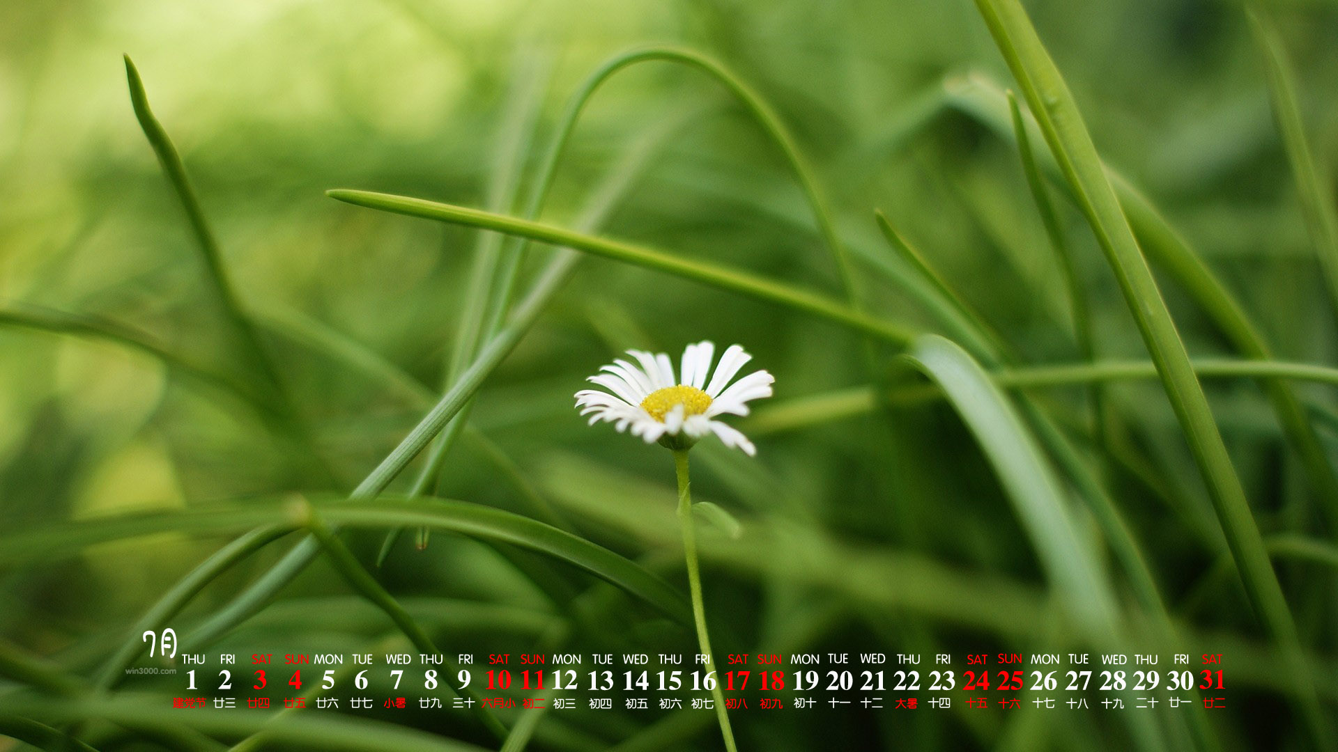 2021年7月清新淡雅的花朵桌面日历壁纸