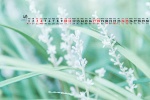 April 2021 natural scenery eye protection desktop calendar wallpaper