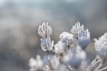 HD pictures of frost in the twenty-four solar terms
