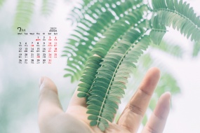 July 2021 small fresh natural scenery desktop calendar wallpaper