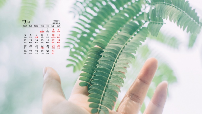 July 2021 small fresh natural scenery desktop calendar wallpaper