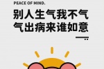 别人生气我不气
气出病来谁如意