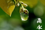 24 Solar Terms: Rain Season Picture Wallpaper