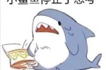 小鲨鱼停止了思考