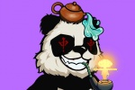 Chinese panda NFT trend avatar