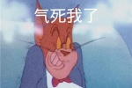 气死我了