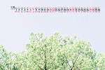 2021年11月绿色主题风景桌面日历壁纸