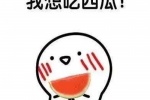 夏季吃西瓜的可愛表情包圖片