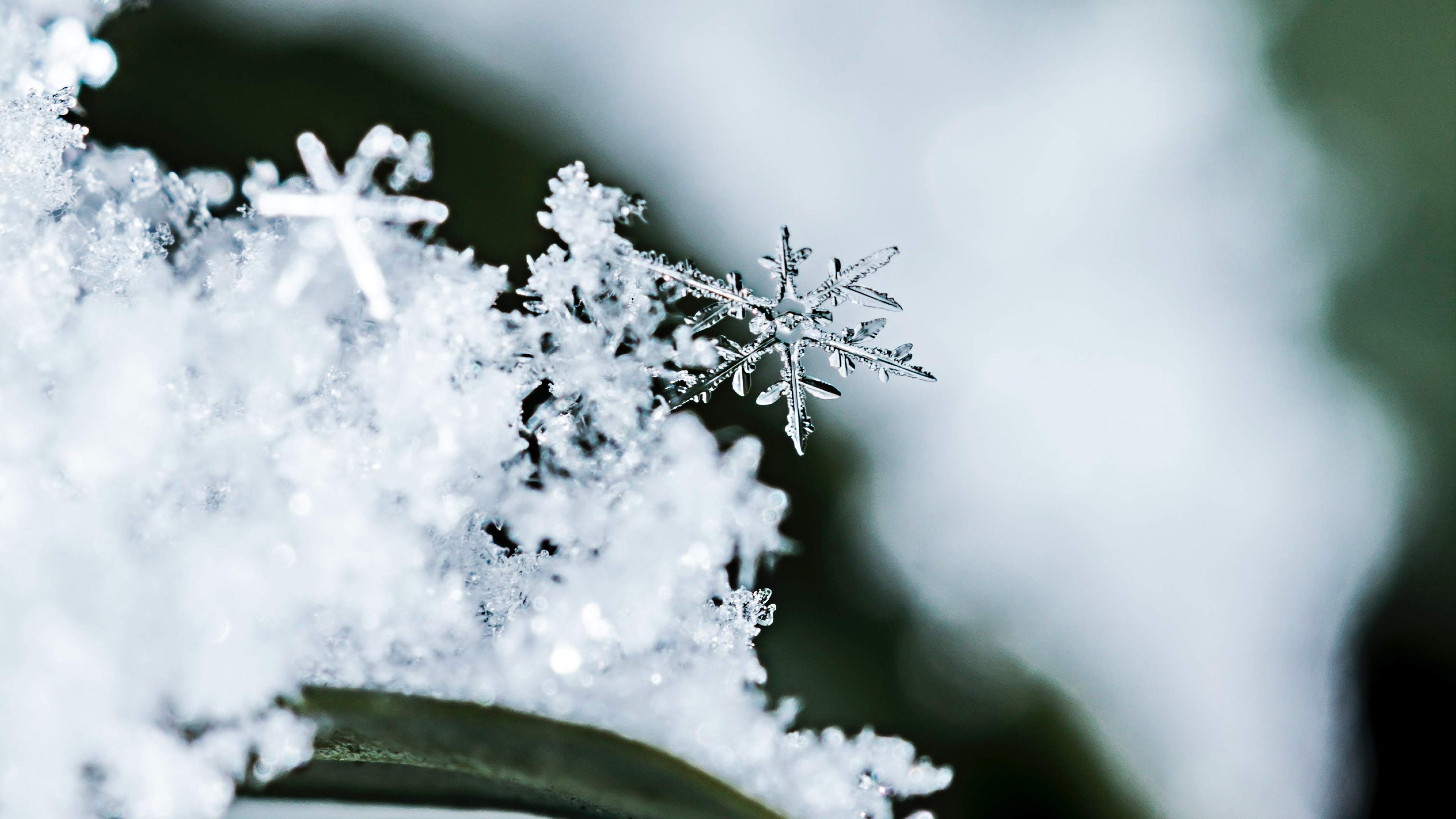 壁纸 冰晶，雪花，冬天 2560x1600 HD 高清壁纸, 图片, 照片