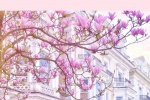 Pink flowers girly mobile wallpaper