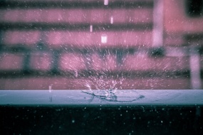 雨中的雨滴圖片桌麵壁紙