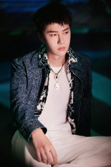 Wang Yibo handsome photo in printed shirt