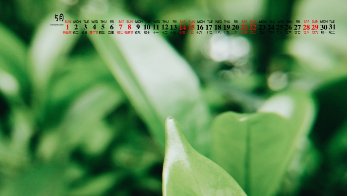 2022年5月护眼绿色桌面日历壁纸