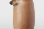 Bread dog sausage dog couple avatar