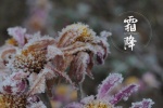 霜降節氣唯美風景圖片壁紙
