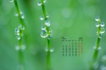July 2021 emerald green leaves water drops desktop calendar wallpaper