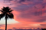 Beautiful night scenery desktop calendar wallpaper for July 2021