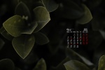 2021年9月翠绿色植物电脑日历壁纸