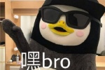 嘿bro