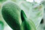 2022年3月护眼绿植桌面日历壁纸图片